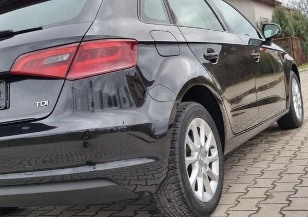 Audi A3 cena 41900 przebieg: 240800, rok produkcji 2013 z Żary małe 742